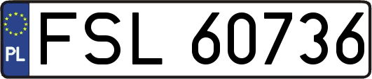 FSL60736