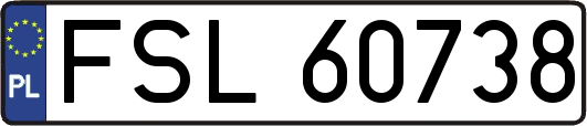 FSL60738