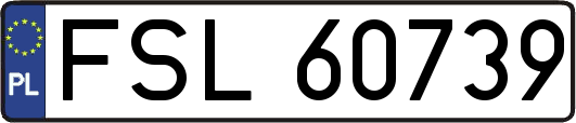 FSL60739