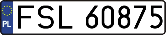 FSL60875