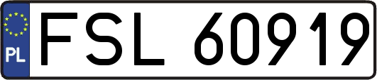 FSL60919
