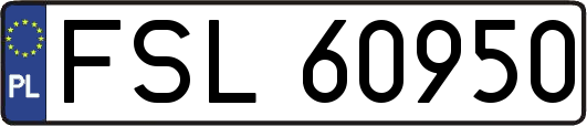 FSL60950