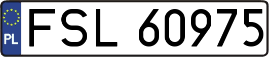 FSL60975