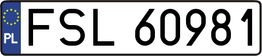 FSL60981