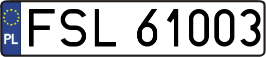 FSL61003