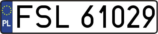 FSL61029