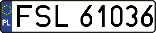 FSL61036