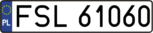FSL61060