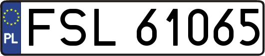 FSL61065