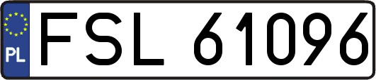 FSL61096