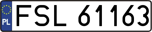 FSL61163