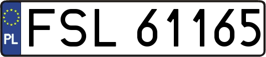 FSL61165