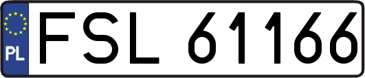 FSL61166
