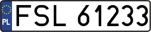 FSL61233