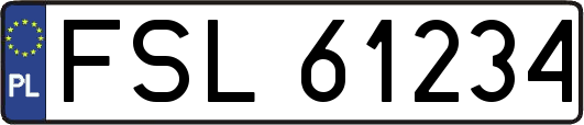 FSL61234