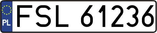 FSL61236