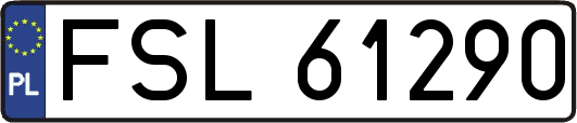 FSL61290