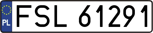 FSL61291