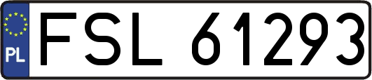 FSL61293