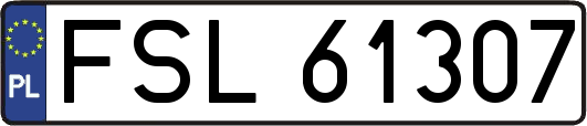 FSL61307