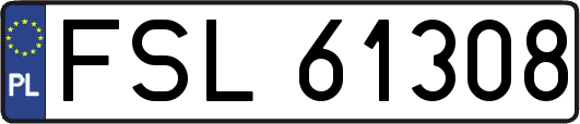 FSL61308