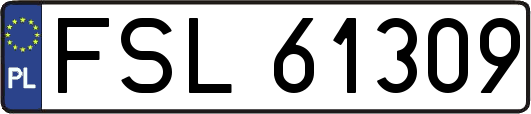 FSL61309
