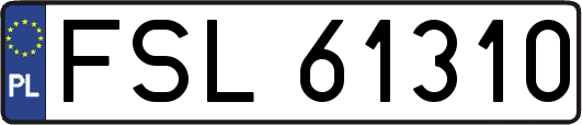 FSL61310