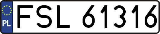 FSL61316