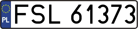 FSL61373