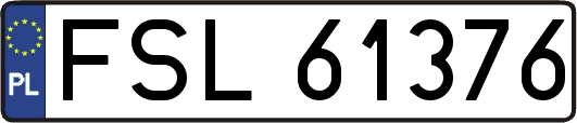 FSL61376