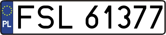 FSL61377