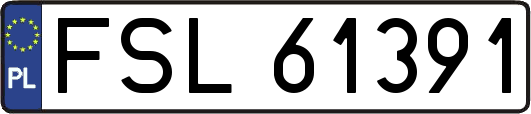 FSL61391