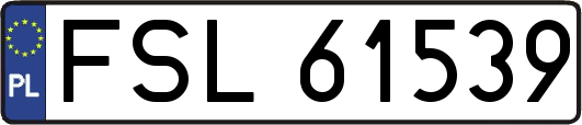 FSL61539