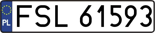 FSL61593