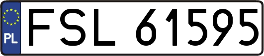 FSL61595