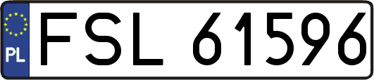FSL61596
