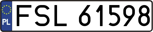 FSL61598