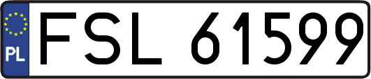 FSL61599