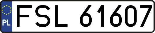 FSL61607