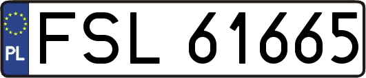 FSL61665