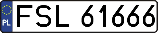 FSL61666
