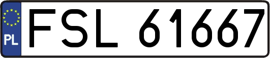 FSL61667