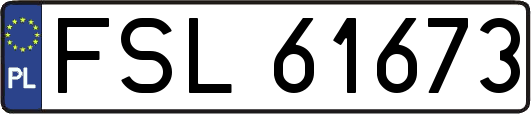 FSL61673