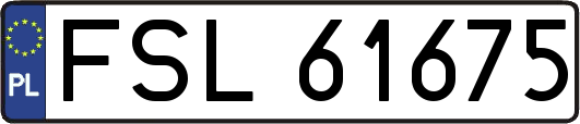 FSL61675