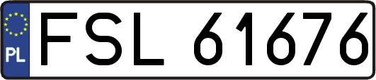 FSL61676