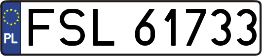 FSL61733