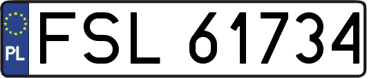FSL61734
