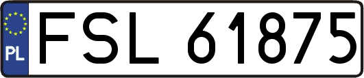 FSL61875