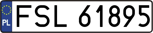 FSL61895
