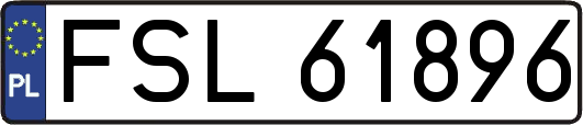FSL61896